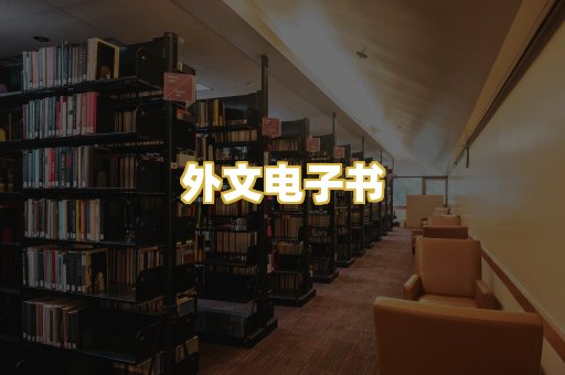 外文电子书